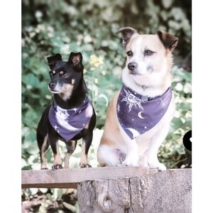 Rogue + Wolf ✦ Reversible Pet Bandana ✦ Celestial Sun & Moon Print Stars Black